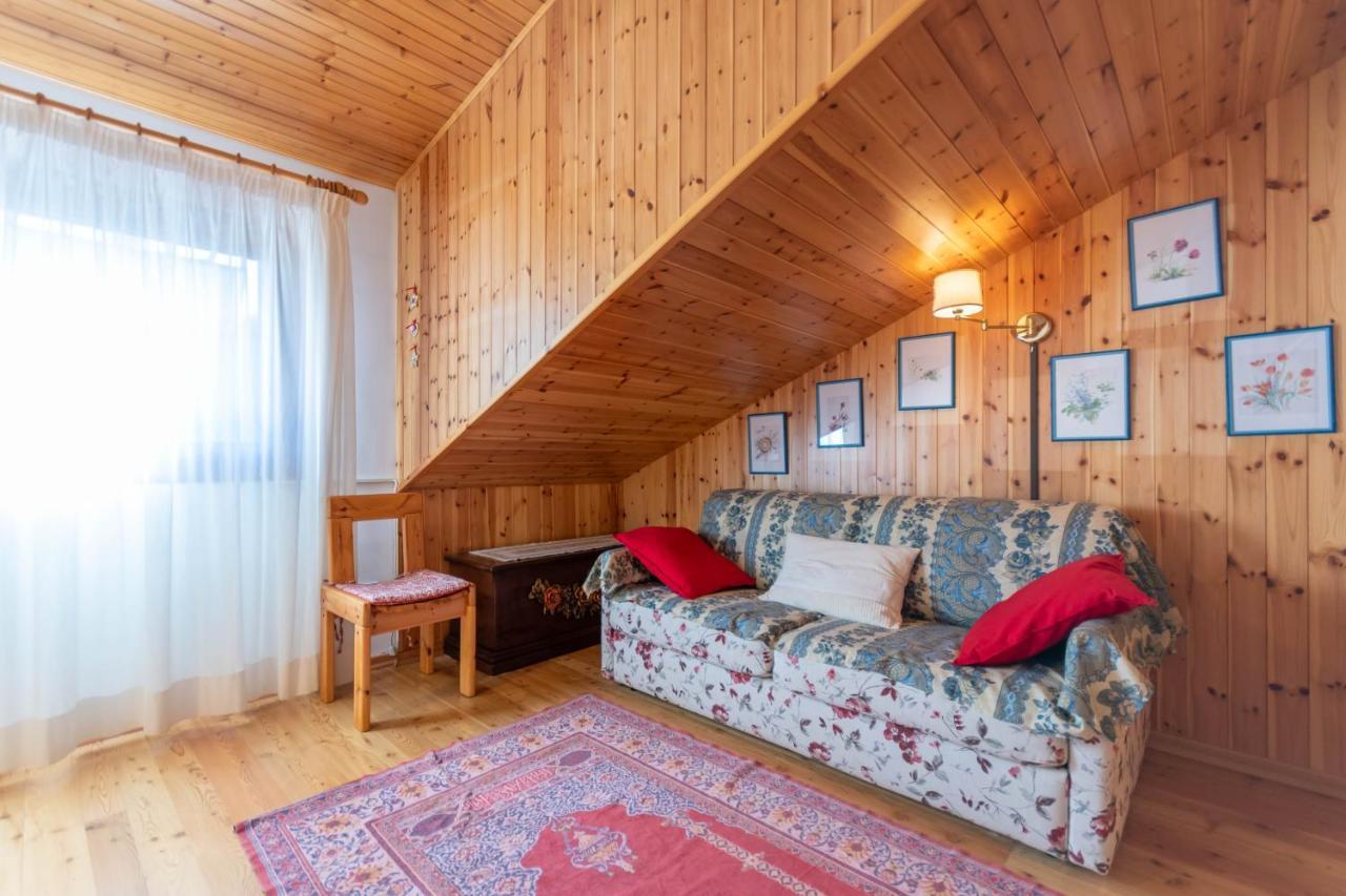 Ferienwohnung Petit Arnica Selva di Cadore Exterior foto